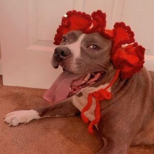 Handmade Crochet Orange and Red dog sun hat